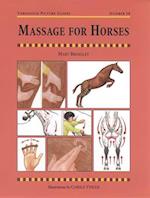 Massage for Horses