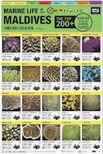 Maldives Marine Life Field Guide