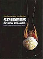 Spiders of New Zealand