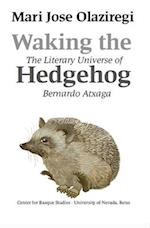 Waking the Hedgehog