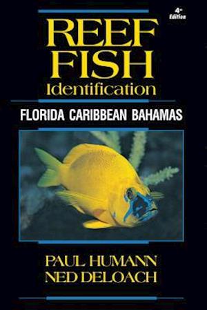 Reef Fish Identification