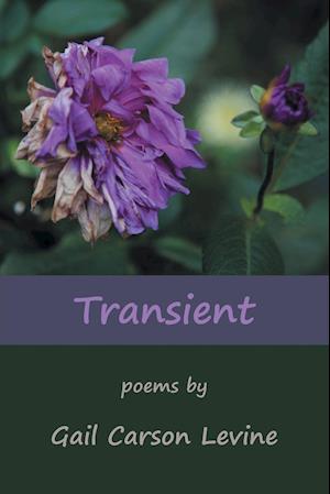 Transient