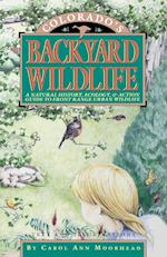 Colorado's Backyard Wildlife
