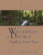 The Wilderness of Divorce