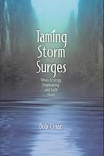 Taming Storm Surges