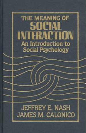 The Meaning of Social Interaction