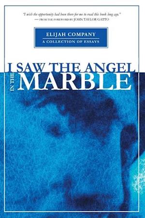 I Saw the Angel in the Marble