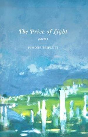 The Price of Light