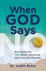 When God Says NO - Revealing the YES When Adversity and Lost Are Present 