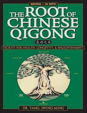 The Root of Chinese Qigong