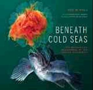Beneath Cold Seas