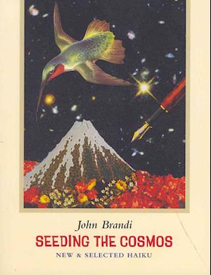 Seeding the Cosmos