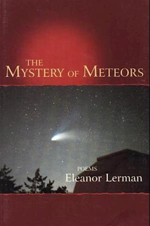 The Mystery of Meteors