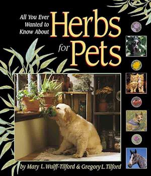 All You Ever Wanted To Know About Herbs For Pets