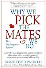 Why We Pick the Mates We Do: A Step-By-Step Program to Select a Better Partner or Improve the Relationship You're Already in 