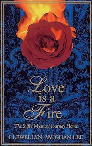 Love Is a Fire