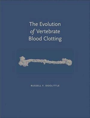 The Evolution of Vertebrate Blood Clotting