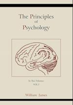 The Principles of Psychology (Vol 1)