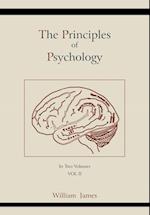 The Principles of Psychology (Vol 2)