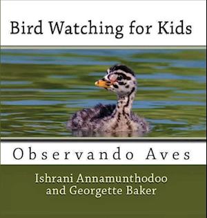 Bird Watching for Kids