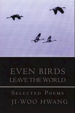 Even Birds Leave the World