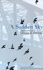 A Sudden Sky