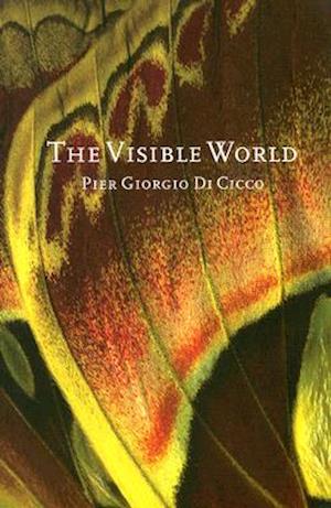 The Visible World