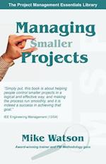 Managing Smaller Projects