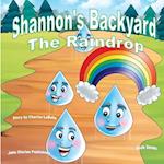 Shannon's Backyard the Raindrop