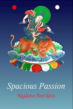 Spacious Passion [paperback]