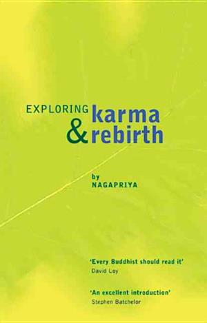 Exploring Karma and Rebirth