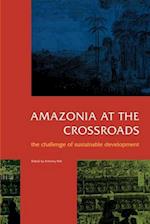 Amazonia at the Crossroads