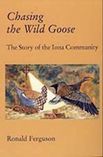 Chasing the Wild Goose