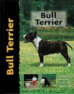 Bull Terrier