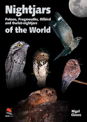 Nightjars, Potoos, Frogmouths, Oilbird, and Owlet-nightjars of the World