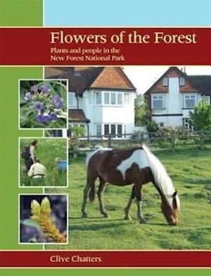 Flowers of the Forest – Plants and People in the New Forest National Park