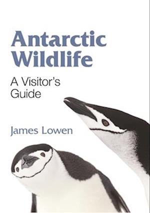 Antarctic Wildlife – A Visitor`s Guide
