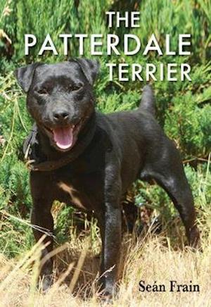 The Patterdale Terrier