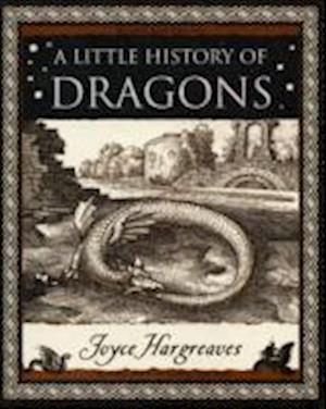 A Little History of Dragons