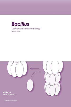 Bacillus