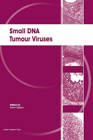 Small DNA Tumour Viruses