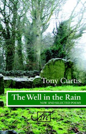 The Well in the Rain