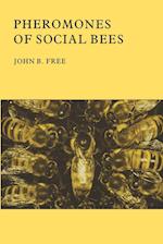 Pheromones of Social Bees