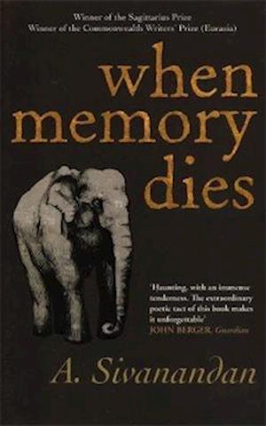 When Memory Dies