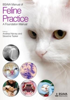 BSAVA Manual of Feline Practice – A Foundation Manual