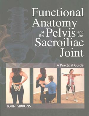 Functional Anatomy of the Pelvis and the Sacroiliac Joint