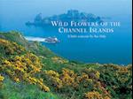 Wild Flowers of the Channel Islands Little Souvenir