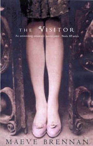 The Visitor