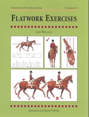 FLATWORK EXERCISES