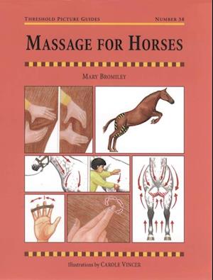 MASSAGE FOR HORSES